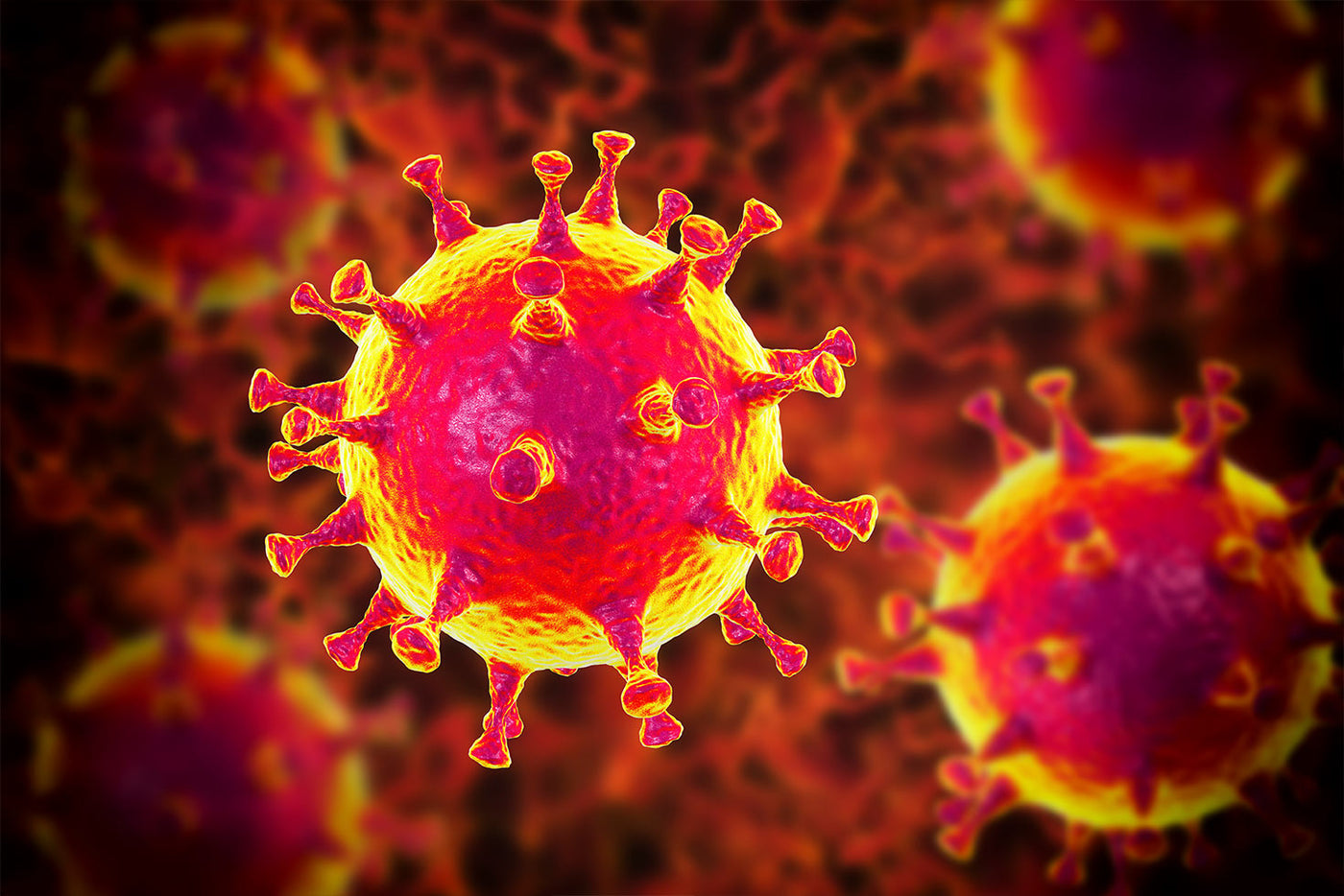 WHAT YOU NEED TO KNOW ABOUT THE CORONAVIRUS - MJ SUNSHINE
